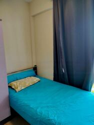 The Rainforest (D23), Condominium #490395361